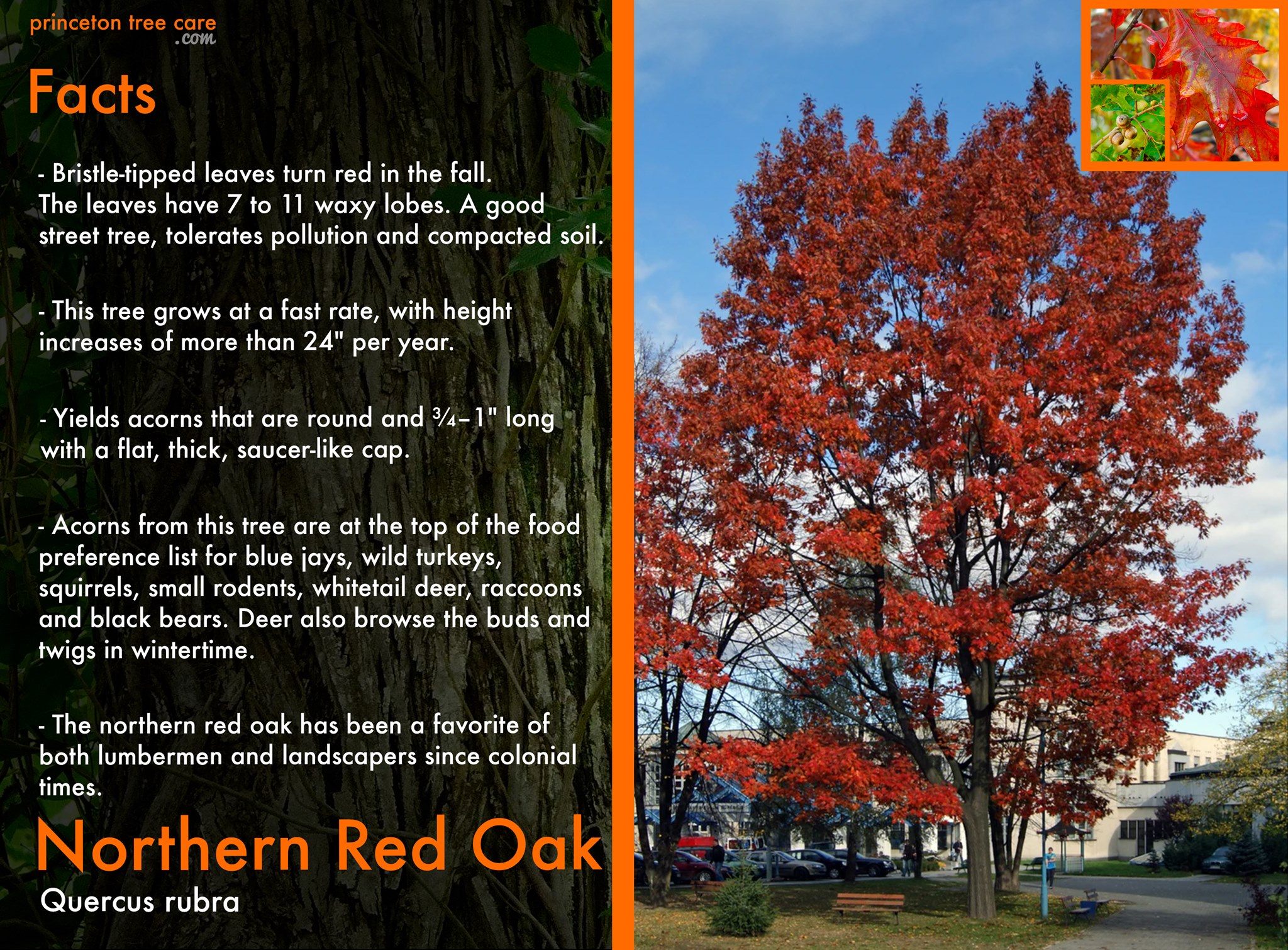 Northern Cambria, Pennsylvania visual data 3